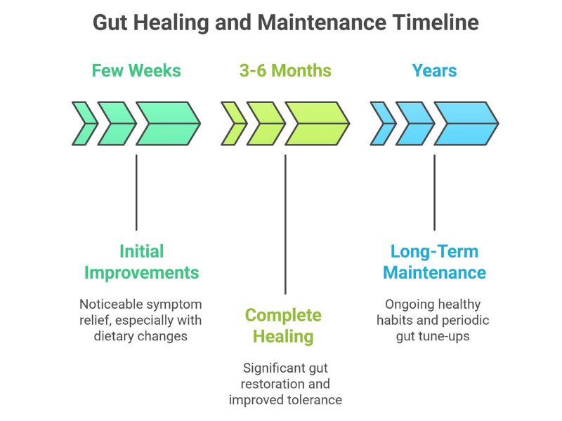 phases-of-healing-autoimmune-chart